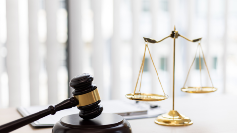 Illustrationsbild för inlägg om lagförslag med en klubba och en våg som står på ett bord.